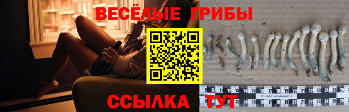 Галлюциногенные грибы прущие грибы Партизанск